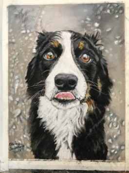 Water- spaniel 9x12 
Original $250